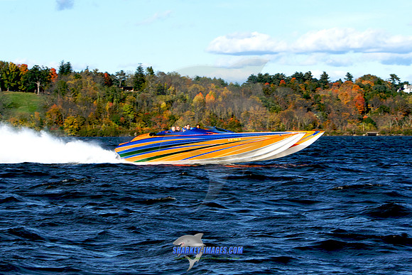 101009B 371 - Version 2.jpg