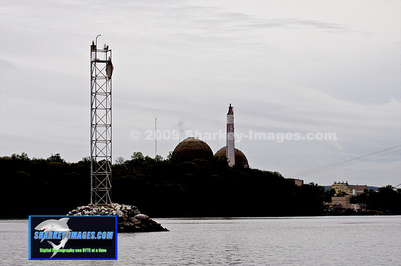 TSI_0003 - Version 2.jpg