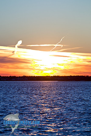 110203A  1474 - Version 2