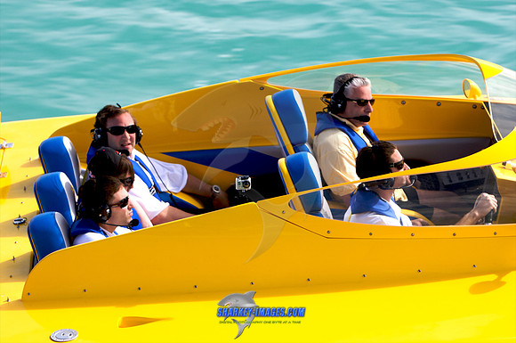 111309A_ 660 - Version 2.jpg