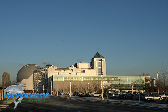 1162009 077.jpg