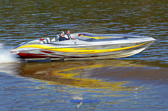 111008A 1046 - Version 2