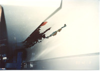 webapollo2g.jpg