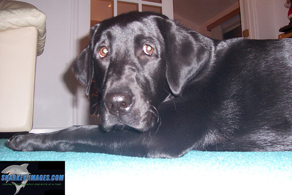 01 2009 018.jpg