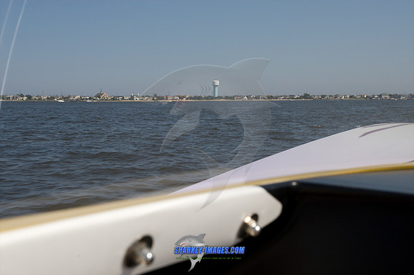 080109_JS 29.jpg