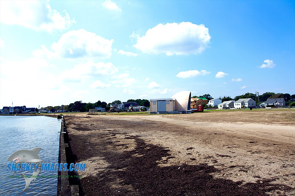 082309_ J 18 - Version 2.jpg