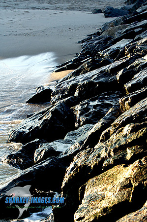 011410 12 - Version 2.jpg