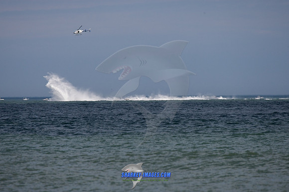 053109B_ 75 - Version 2.jpg