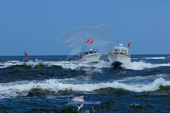 150710D 1231