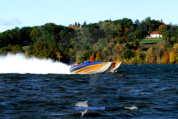 101009B 368 - Version 2.jpg