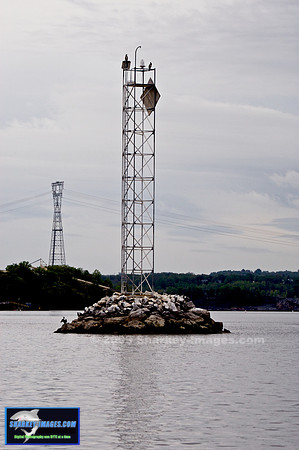TSI_0002 - Version 2.jpg