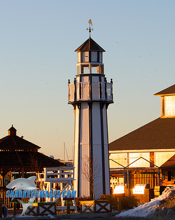 110203  1463 - Version 2