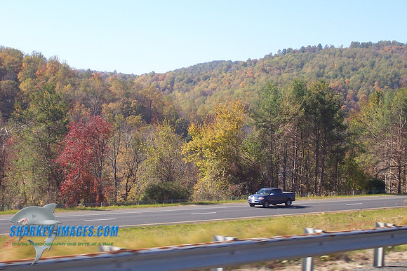 110208_ 013.jpg
