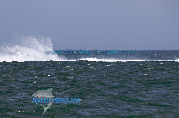 120513A 280 - Version 2