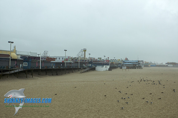 110827A 12 - Version 2