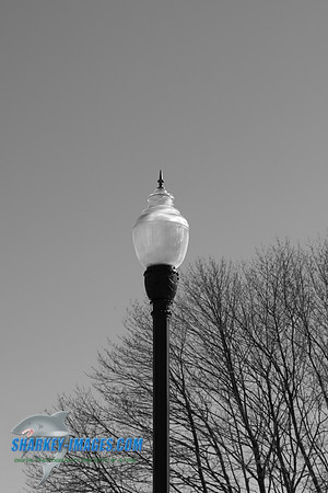 020509 034.jpg