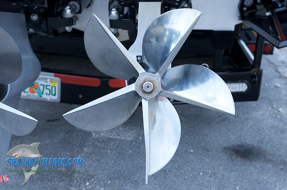 111609_ 14 - Version 2.jpg