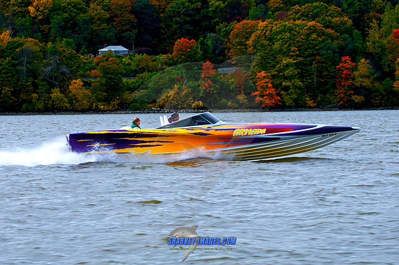 101009B 294 - Version 2.jpg