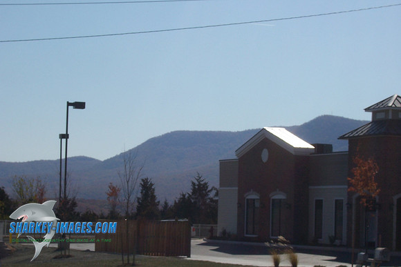 110208_ 022.jpg