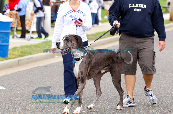 111002_S 39 - Version 2