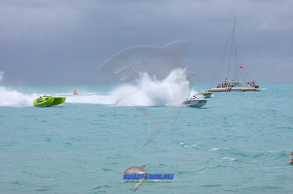 111109A_ 43 - Version 2.jpg