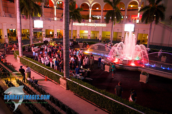 1106117K 8 - Version 2