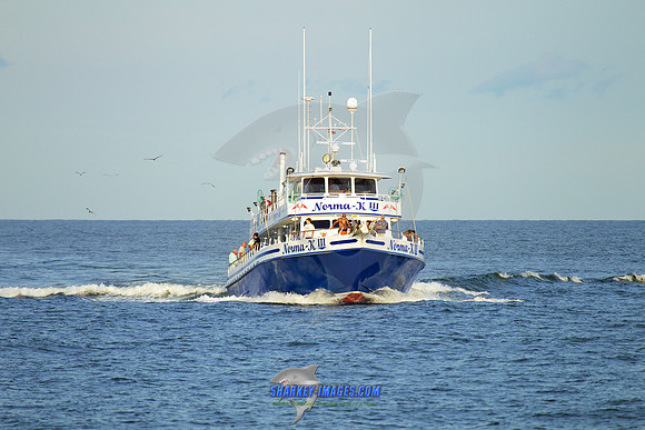 160902A 336