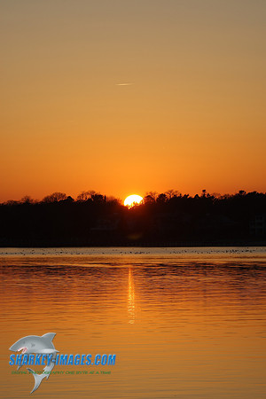 5T0F0090_C.JPG