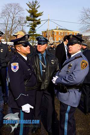 110120  1177 - Version 2