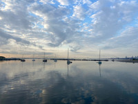 IMG_7980