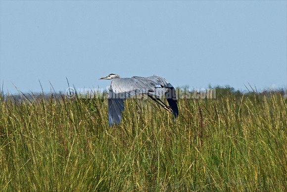 091909_2 155 - Version 2.jpg