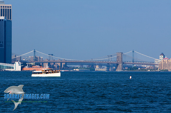 062010 143 - Version 2