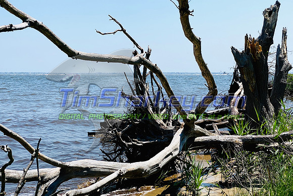 E3A6F38D-3E1E-44DB-AB79-0735CF646C9B