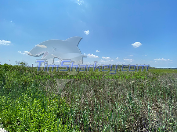 CCF8783C-8878-4824-B7A3-6DB317037565