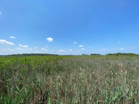 36046269-99D8-4E16-A68A-DF2F437EDE94