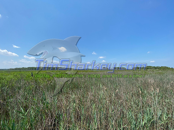36046269-99D8-4E16-A68A-DF2F437EDE94
