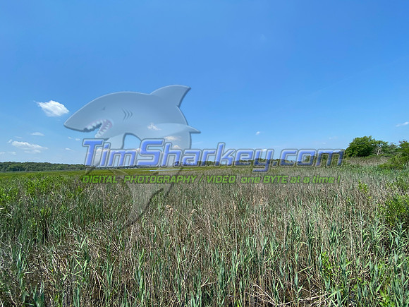72EA792E-3683-406A-859C-52CD24799593