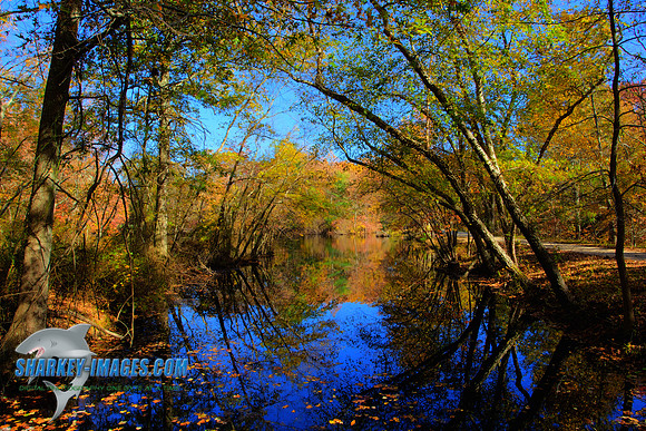 141027A 6_HDR