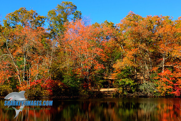 141027A 35_HDR