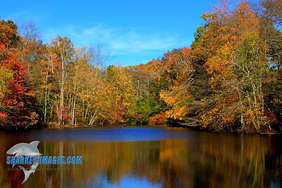 141027A 28_HDR