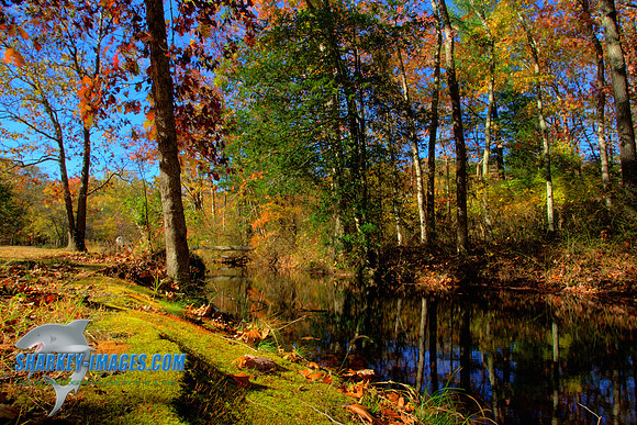141027A 42_HDR