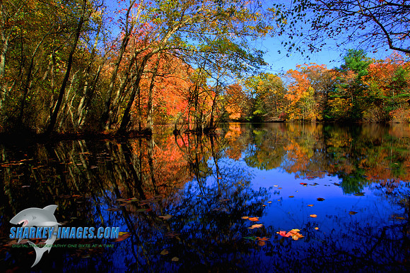 141027A 18_HDR