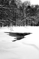 110109  970 - Version 2