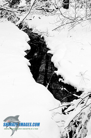 110109  976 - Version 2