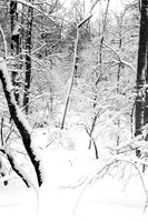 110109  978 - Version 2