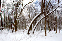 110109  965 - Version 2
