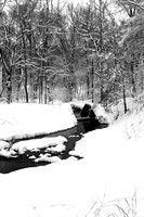 110109  982 - Version 2