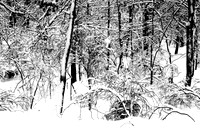 110109  977 - Version 2