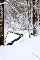 110109  980 - Version 2