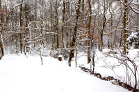 110109  964 - Version 2